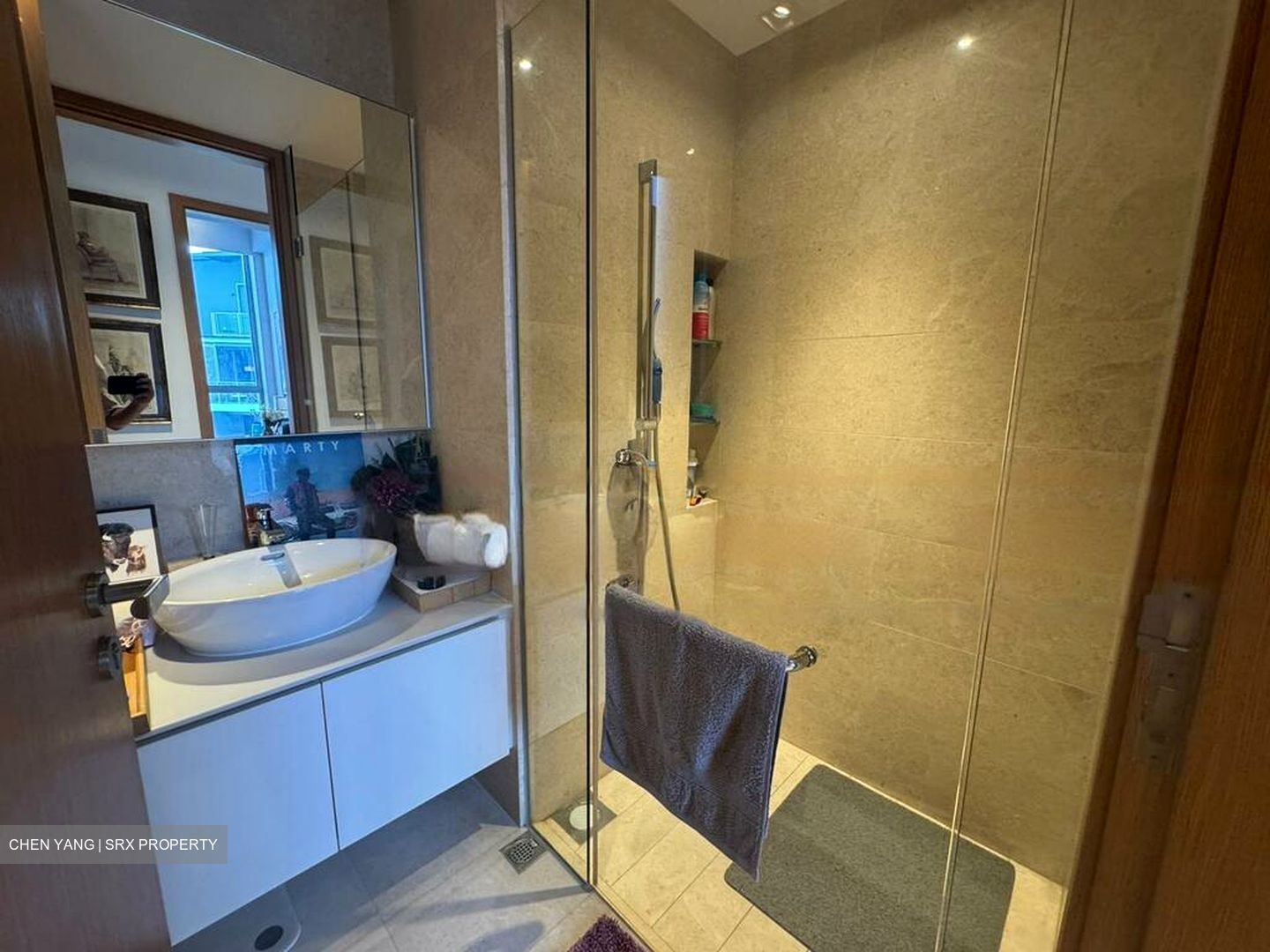 Mon Jervois (D10), Condominium #469714771